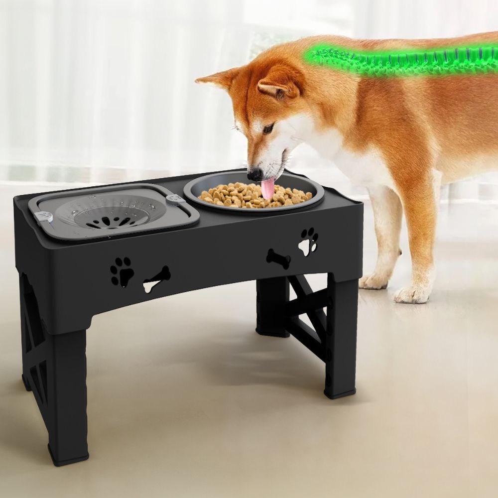 Verstelbare honden voerbak – verhoogde slow feeder voor betere spijsvertering & comfort