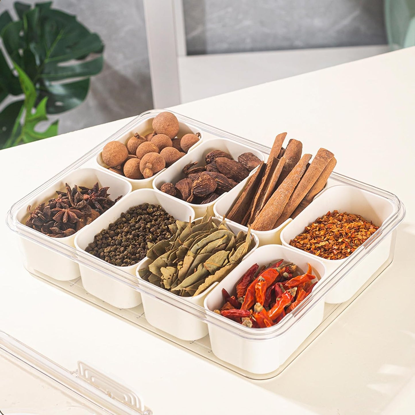 Luxe 8-Vaks Snackschaal met Handgreep – Stijlvolle Gedeelde Dienblad voor Hapjes & Partijen | Vershoudend & Duurzaam Ontwerp
