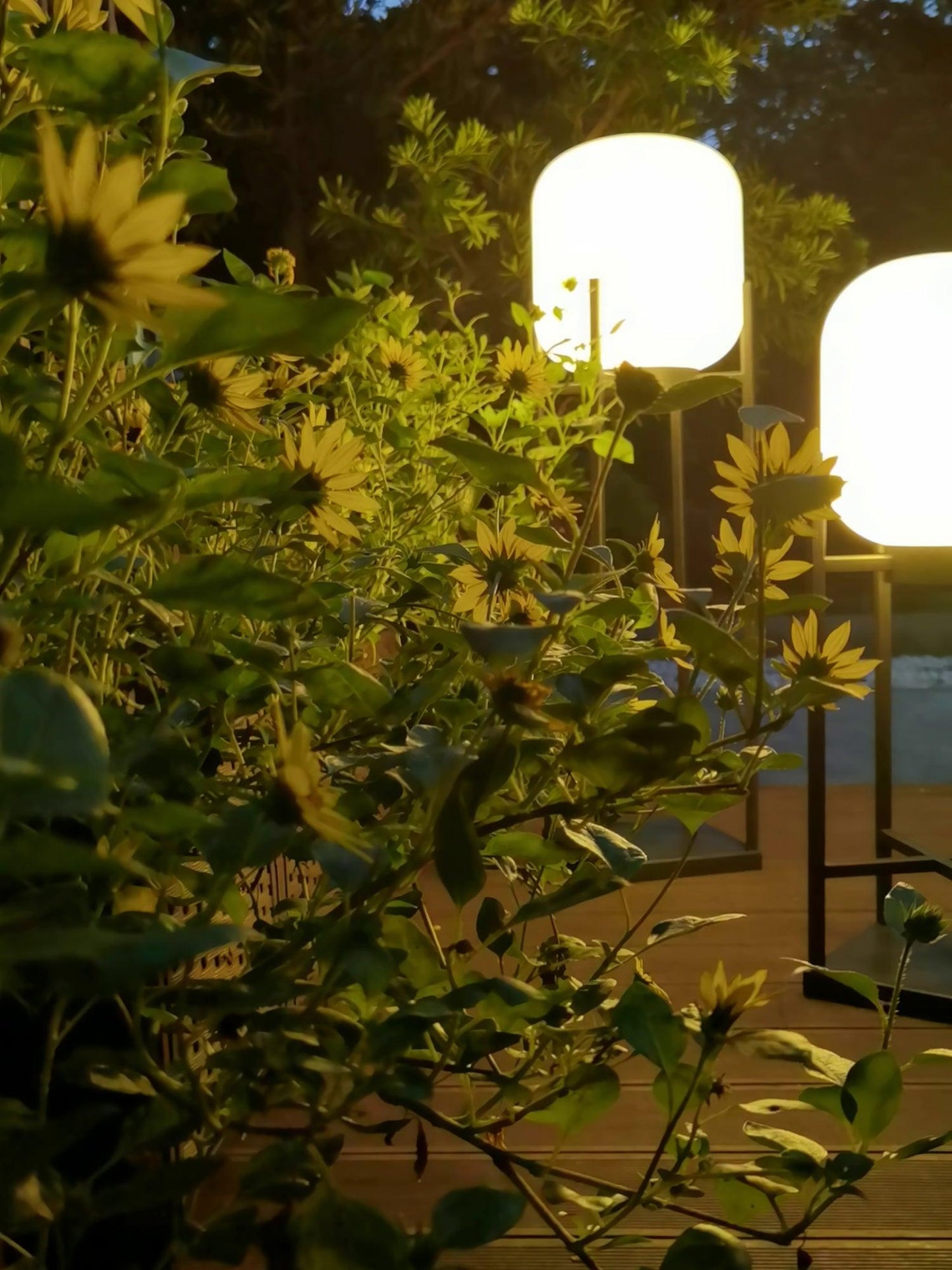 Stijlvolle Solar Buitenlamp RVS – Luxe LED Staande Tuinlamp Waterdicht & Energiezuinig met Automatische Oplaadfunctie