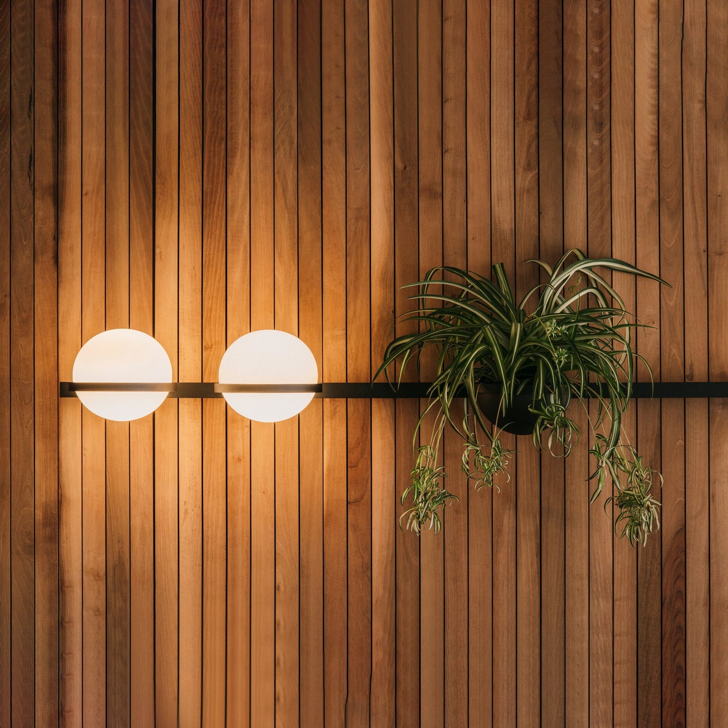 Solstice Outdoor Wall Light – Moderne Zwarte Buitenlamp met LED Bol | Waterdichte IP65 Gevelverlichting