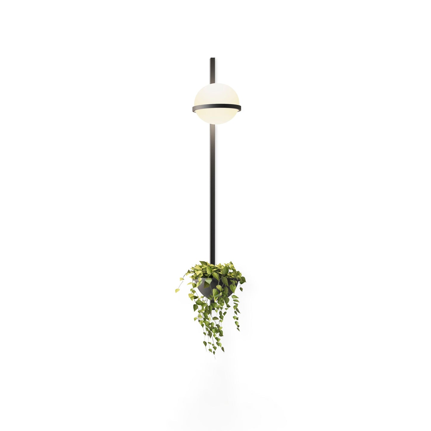 Solstice Outdoor Wall Light – Moderne Zwarte Buitenlamp met LED Bol | Waterdichte IP65 Gevelverlichting