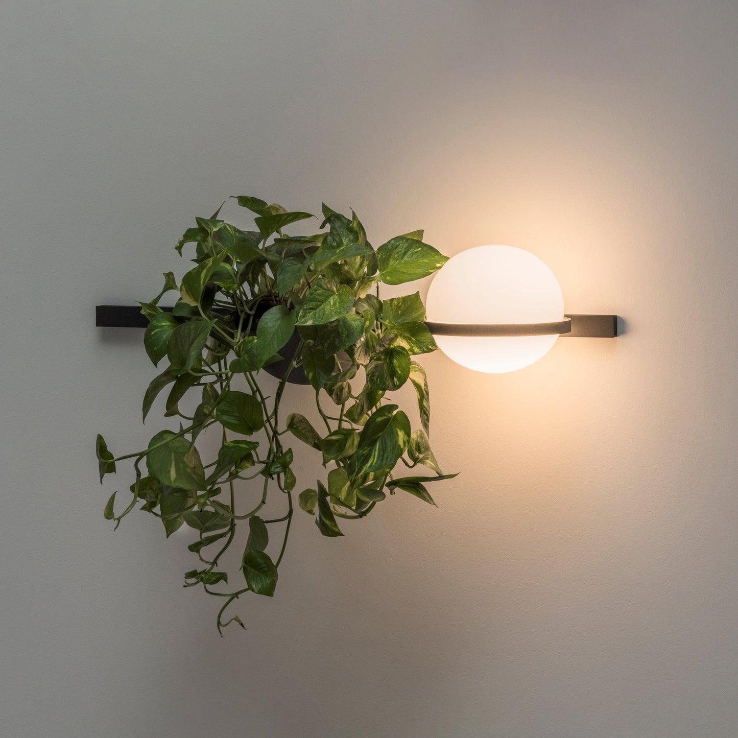 Solstice Outdoor Wall Light – Moderne Zwarte Buitenlamp met LED Bol | Waterdichte IP65 Gevelverlichting