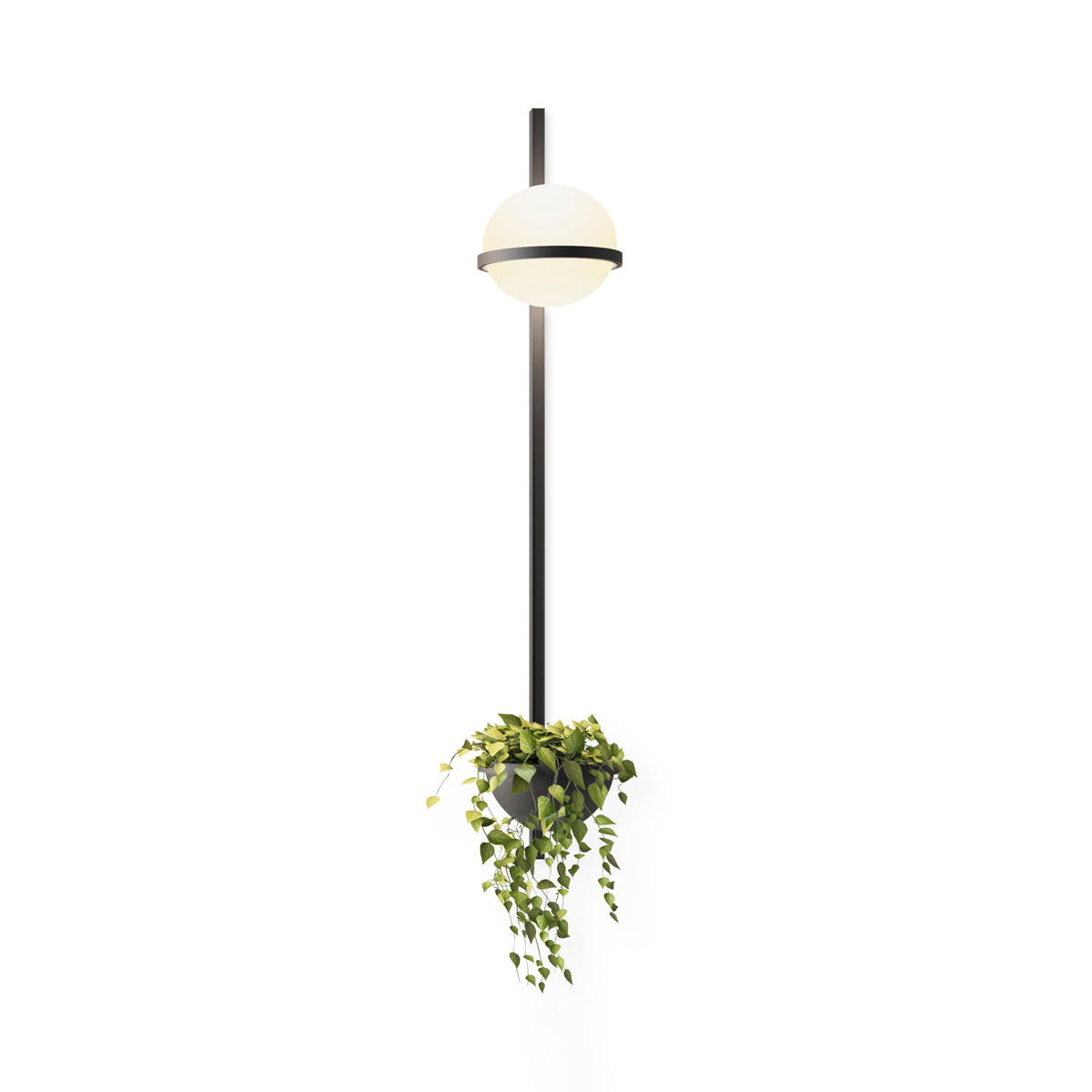 Solstice Outdoor Wall Light – Moderne Zwarte Buitenlamp met LED Bol | Waterdichte IP65 Gevelverlichting